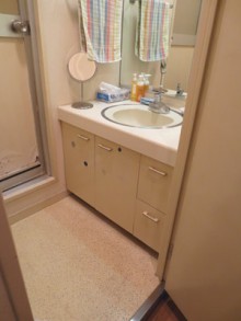 シンク下のオープンスペースがお気に入り